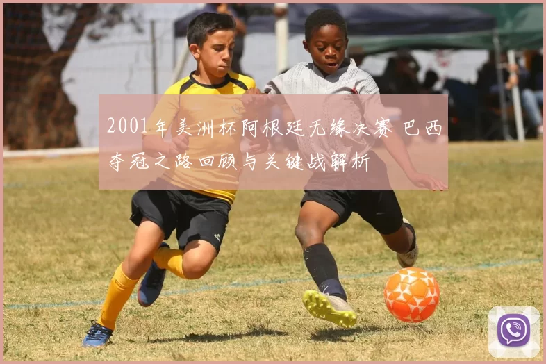 2001年美洲杯阿根廷无缘决赛 巴西夺冠之路回顾与关键战解析