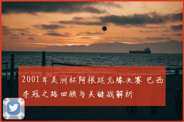 2001年美洲杯阿根廷无缘决赛 巴西夺冠之路回顾与关键战解析