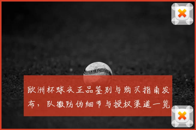 欧洲杯球衣正品鉴别与购买指南发布,队徽防伪细节与授权渠道一览