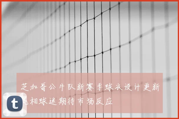 芝加哥公牛队新赛季球衣设计更新亮相球迷期待市场反应
