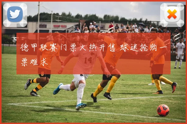 德甲联赛门票火热开售 球迷抢购一票难求